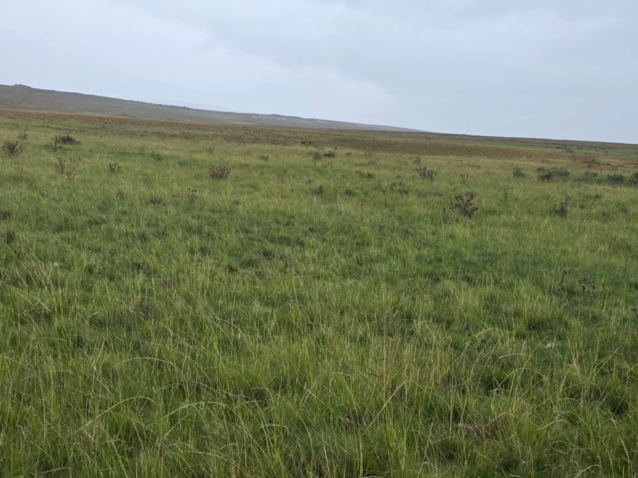 4 Bedroom Property for Sale in Jamestown Eastern Cape